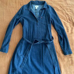 Levi Denim Dress
